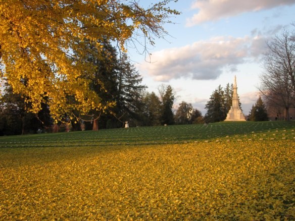 a cemetery with Civil War white gravestones