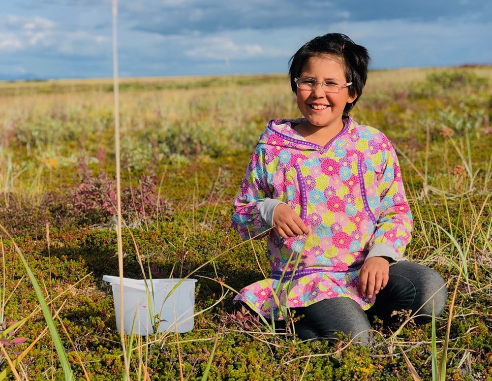 An Alaska Native girl picking berries in the tundra.
