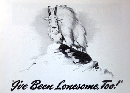 Drawing of a sad mountain goat "I've Been Lonesome Too"