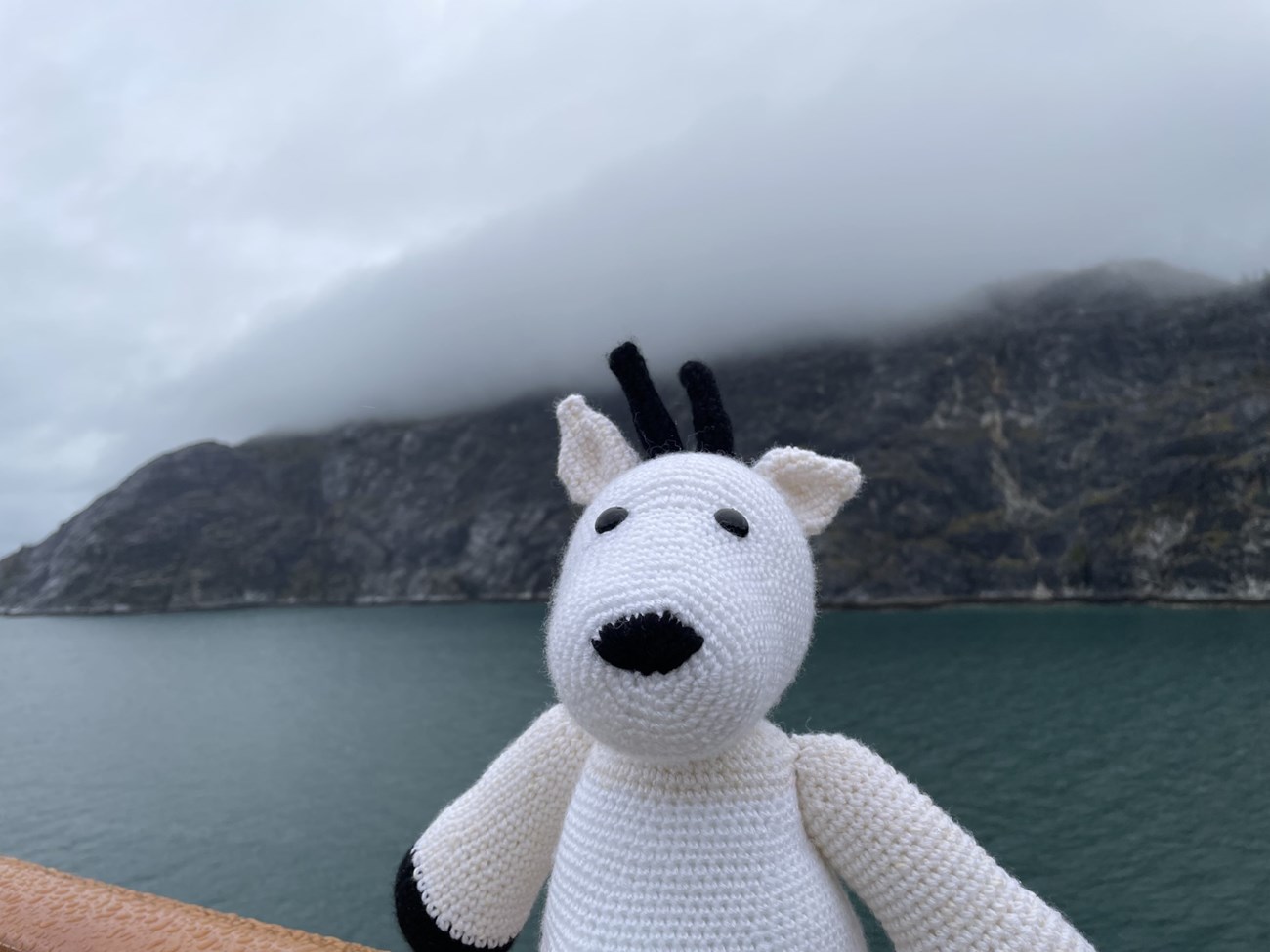 Mountain goat made out of yarn in front of a rocky background
