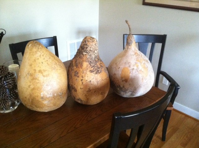 Three gourds on a table