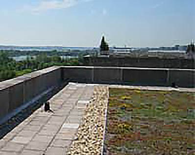 green-roof-flat-parapet green roof and building parapet