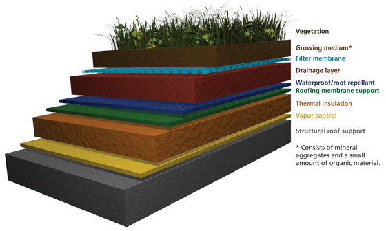 green-roof-layers graphic showing layers of materials in a green roof