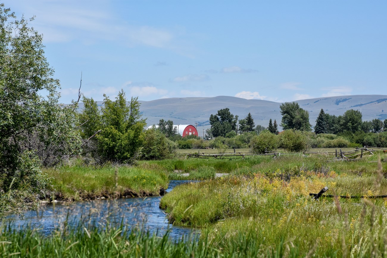 Grass and shrubs grow along the banks of a small stream flowing through wetlands, with a barn and mountains in the distance.