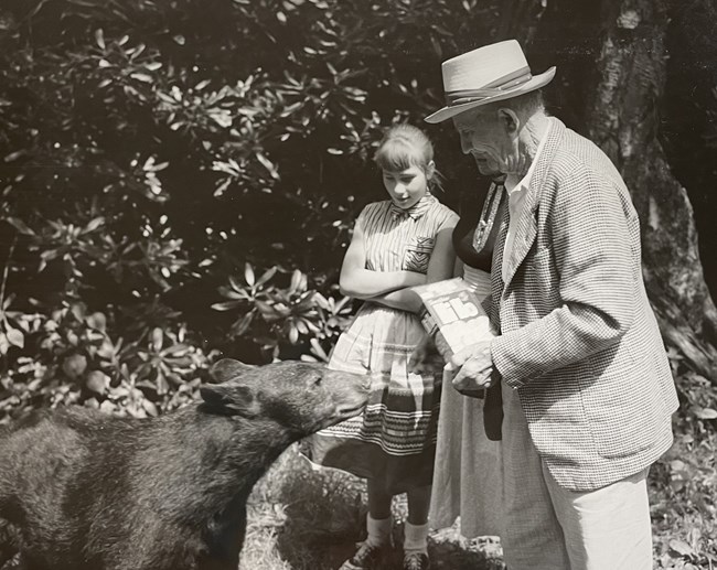 Man, woman, and girl feeding a bear on the side of the road