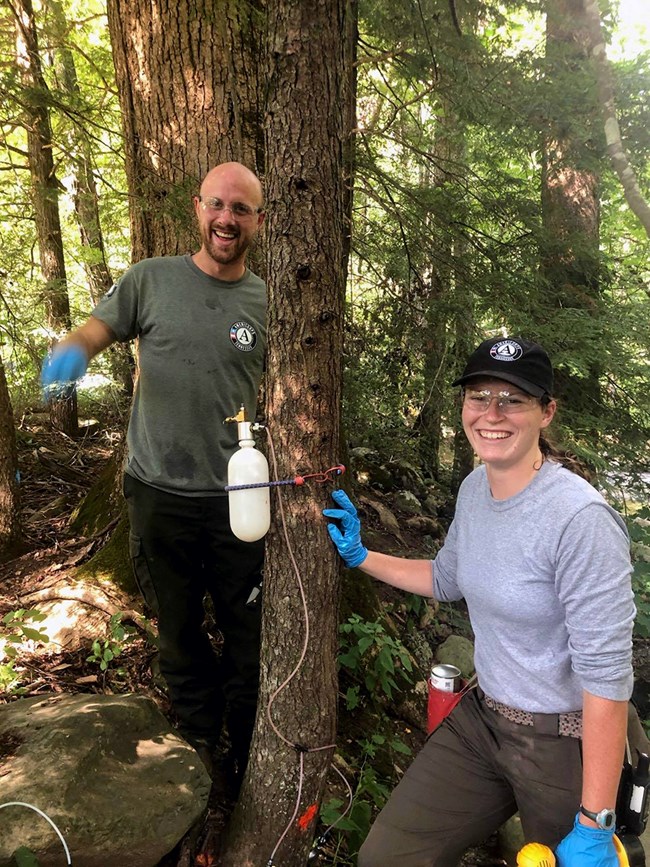 Americorps team members apply insecticide Two Americorps team members stand next to a tree, holding insecticide.