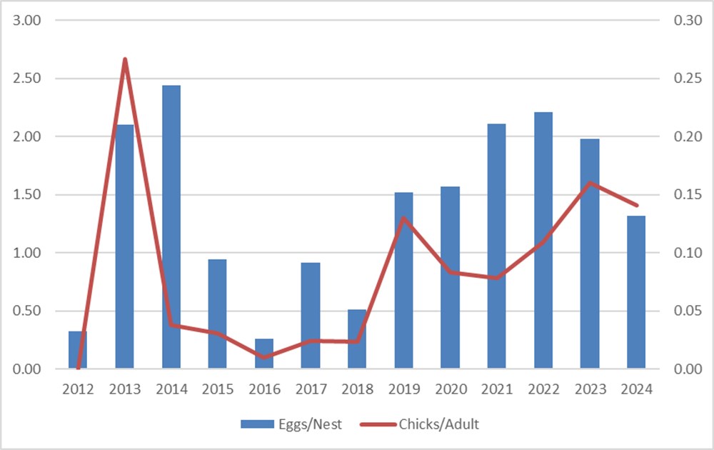gull egg graph_web A graph showing gull nest eggs and chick recruitment over time.