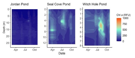 Three graphs using colored gradient to depict Chl a (rfu), left is entirely dark blue close to 0, the right two range from zero to 500 (cyan)