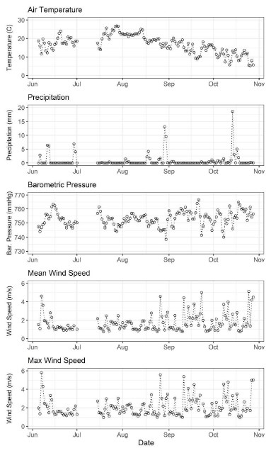 Five rows of verticle graph depicting weather phenomena readings across summer months.