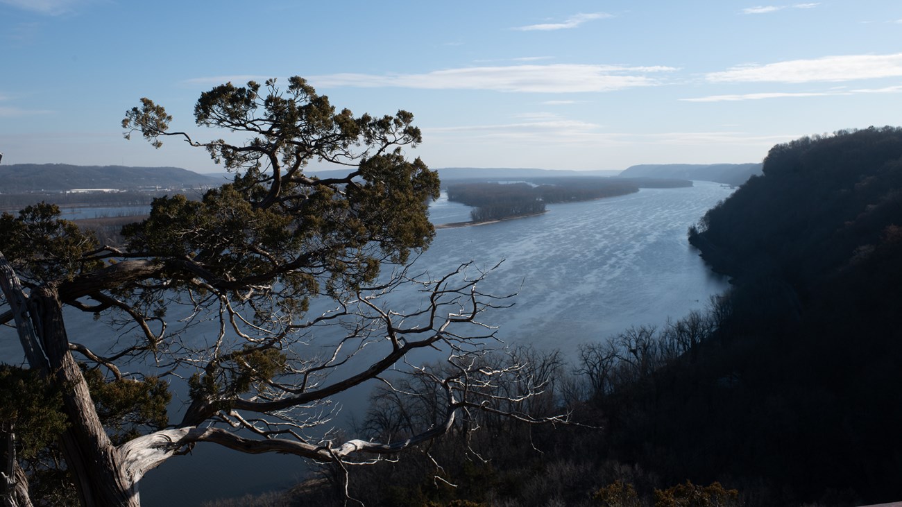 View of a wide river from the top of a bluff. Tree branches extend into the view from the left.