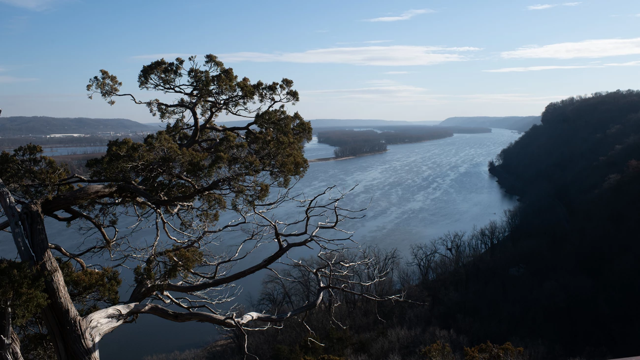 Hanging Rock Effigy Mounds View of a wide river from the top of a bluff. Tree branches extend into the view from the left.