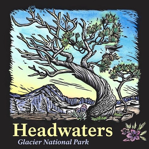 graphic of a drawn tree with the wind moving its leaves. The text on the lower left side reads 'headwaters'