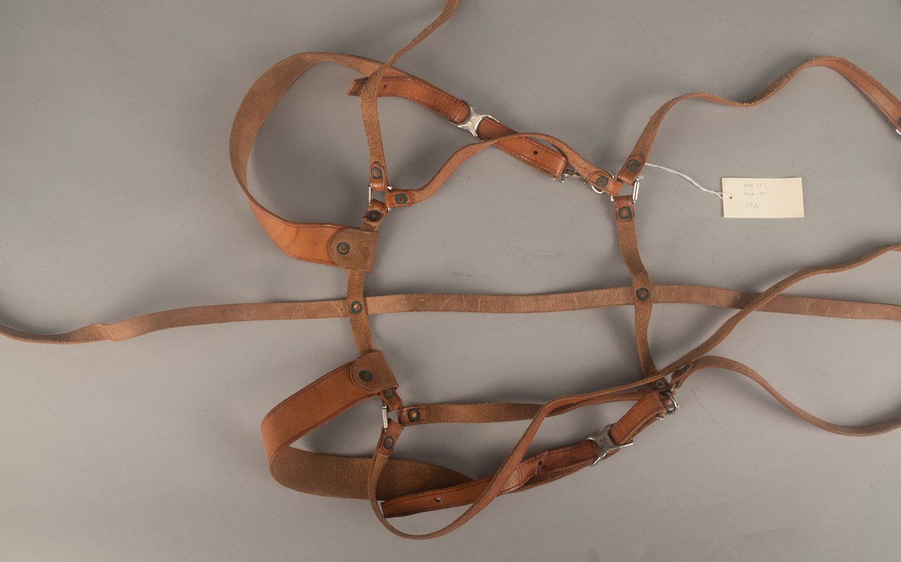 Bridle? Object made of leather straps laid on a table