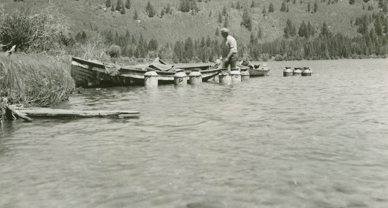 Milk cans float in the water near a boat as a man wades in the water.