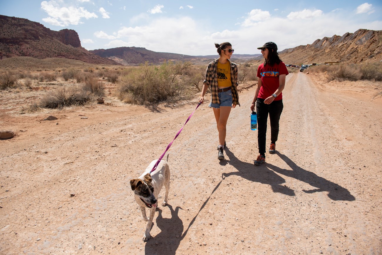 Two visitors walk a leashed brown and white dog along Cache Valley Road on a bright sunny day. The beige road is unpaved and lined with various shrubs. In the distance rock features line the valley, and clouds are visible in the blue sky.