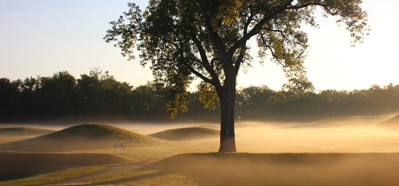 Mounds at Hopewell Culture