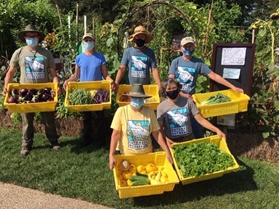 Six people wearing surgical masks hold cartons of produce in a lush vegetable garden.