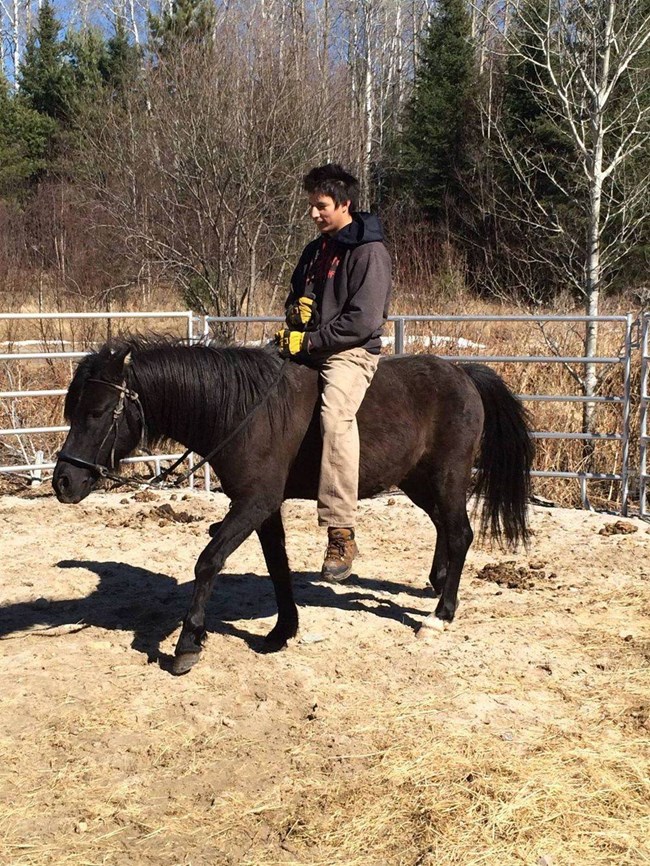horse&rider A bareback rider mounted on a dark brown horse in a fenced area.