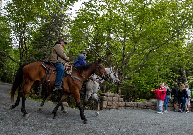 two horses pass a crowd of people on a stone bridge