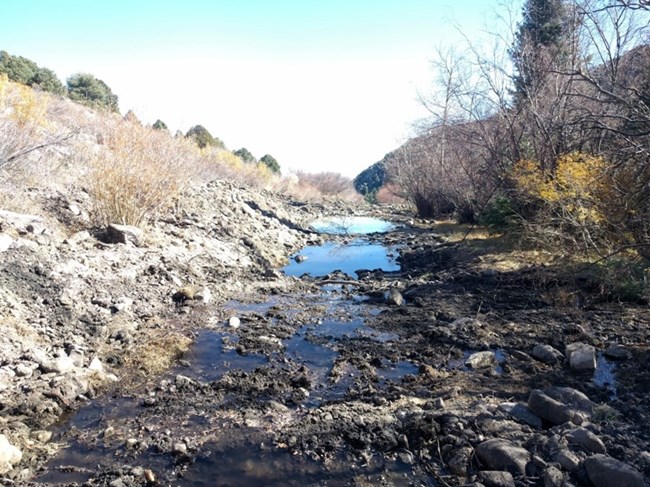 Water beginning to reenter the stream