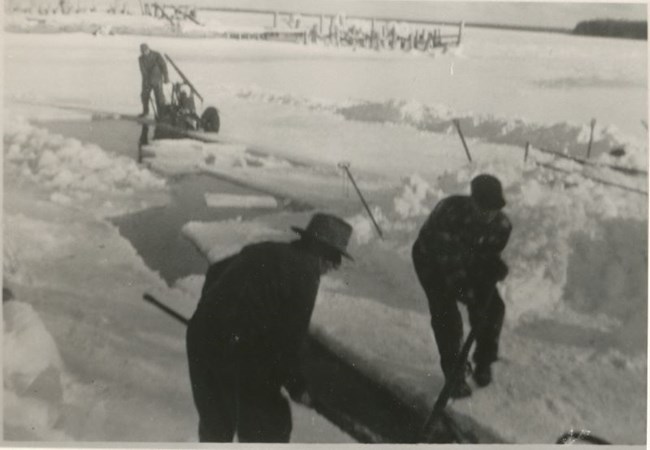 Historic black and white photo of three men cutting ice from the lake.