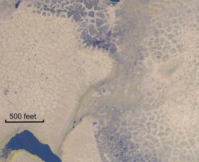 ice_wedges_aerial_web Aerial image of ice wege polygons in Arctic tundra.