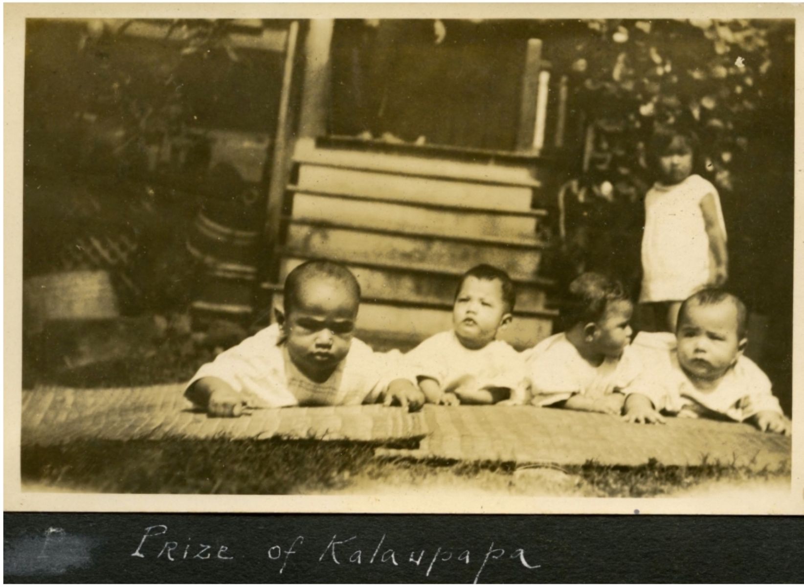 Portrait outdoors; sepia photo of four infants lined up in front and kid standing behind.