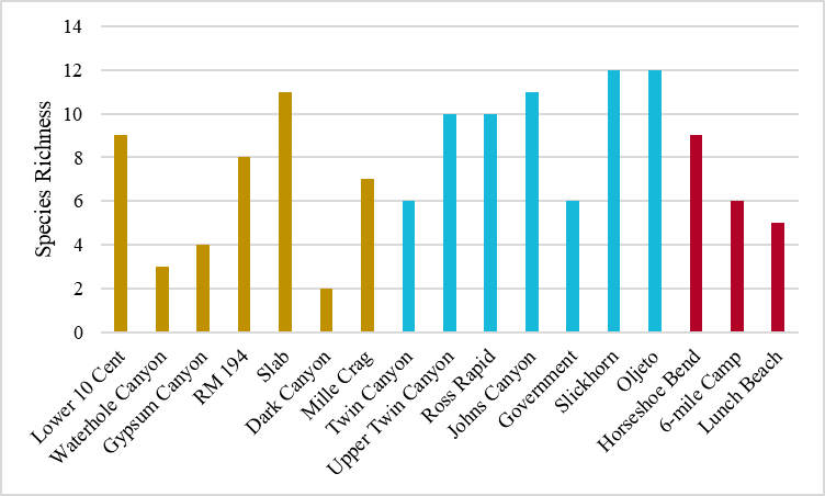 A bar graph showing the number of bat species detected at each of 17 field sites.