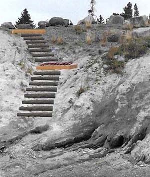 Photo facing directly up a coastal bluff. Grey and tan digital logs are superimposed on the photo and placed to look like a stair set.
