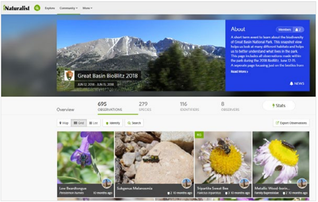 inaturalist webpage Screenshot of iNaturalist webpage