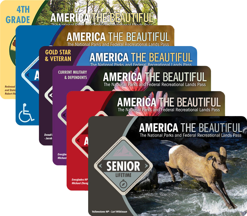 6 America the beautiful passes, the back one says 4th grade, the one in front says senior lifetime