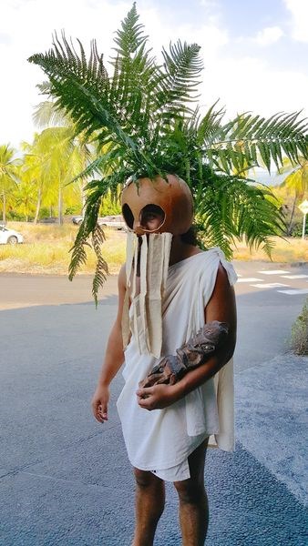 A man in white traditional clothing wears a brown ipu helmet with strips of white cloth hanging below the eye holes and fern fronds protruding from the top