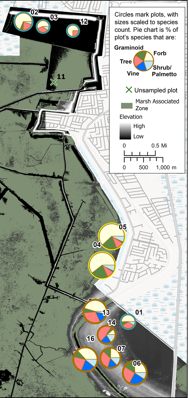 jela vegetation. 2021. JELA final map 2021 brief Map showing vegetation species richness by symbol size and growth form percentage.