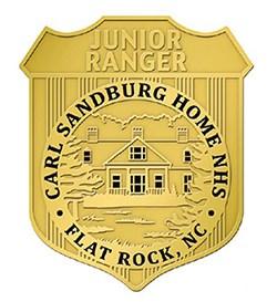 Illustration of gold jr ranger badge illustration of gold jr ranger badge