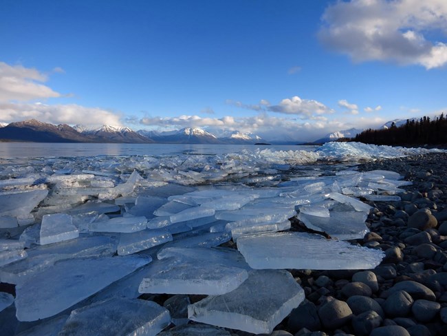 Ice chunks along the lakeshore.
