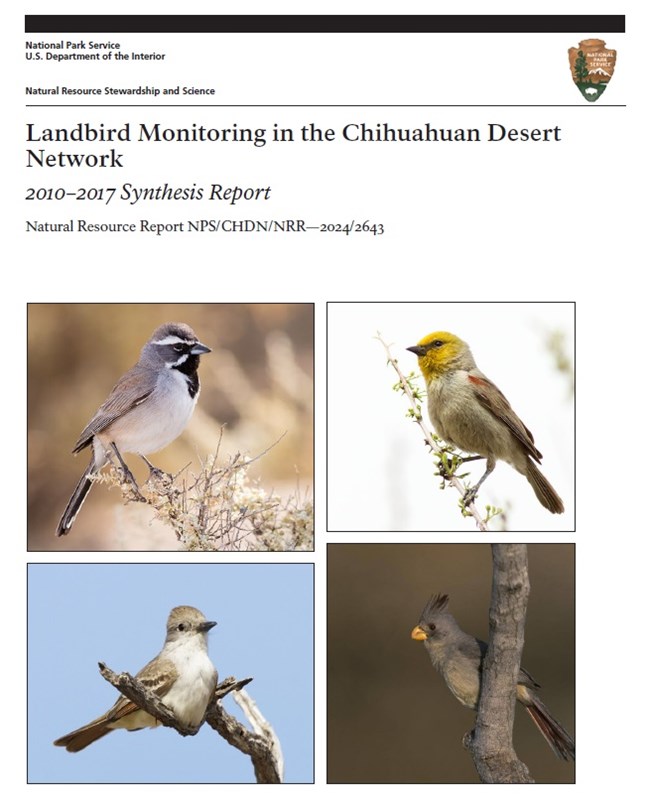 Click on this image to read the full report. Cover of the landbird report titled Landbird Monitoring in the Chihuahuan Desert Network: 2010–2017 Synthesis Report with a publication number (Natural Resource Report NPS/CHDN/NRR—2024-2643. There are four bird pictures on the cover.