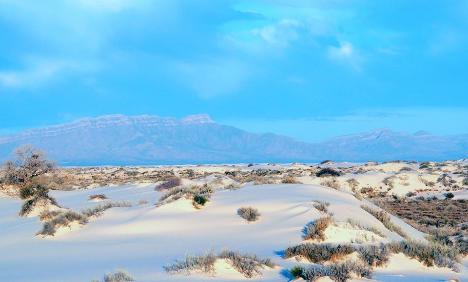 White Sands National Park Brown, scrubby shrubs and a couple trees dot the landscape of white sands on undulating hills in front of mountains with a rocky escarpment.
