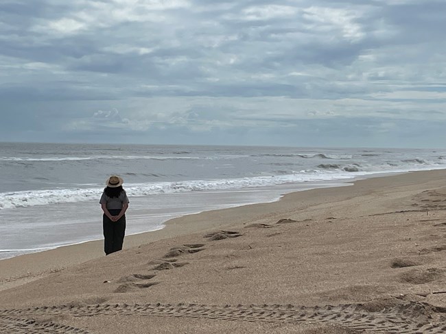 Ranger on the beach