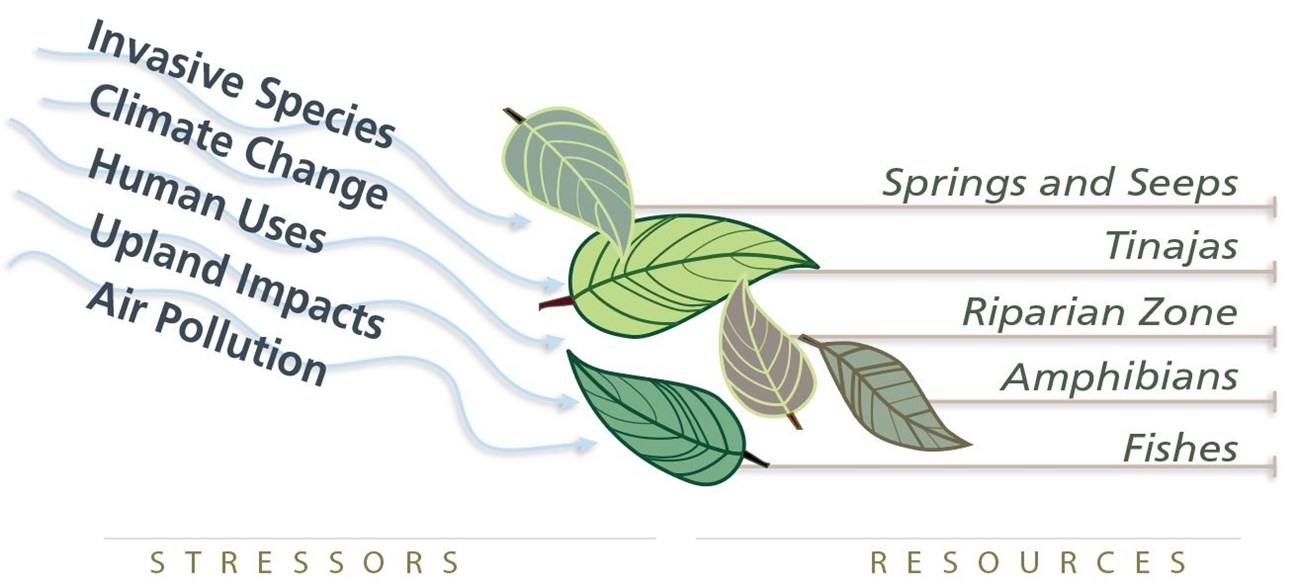 Illustration of drivers as wind blowing the resources as leaves.