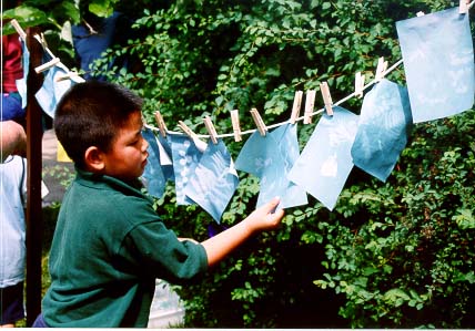 boy hanging blueprinting paper on line near bush