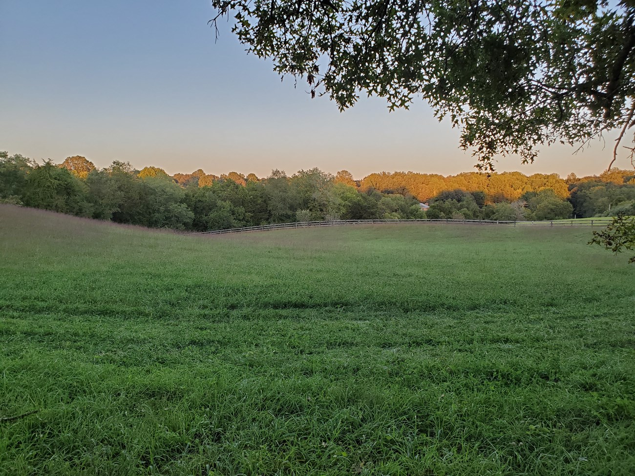 little-fork-episcopal-church A wide-open landscape features grasslands bordered by a wooden fence on one side and another wooden fence on the adjacent side. Behind the fence lies a forest filled with trees, while a gentle slope extends to the left of the scene.