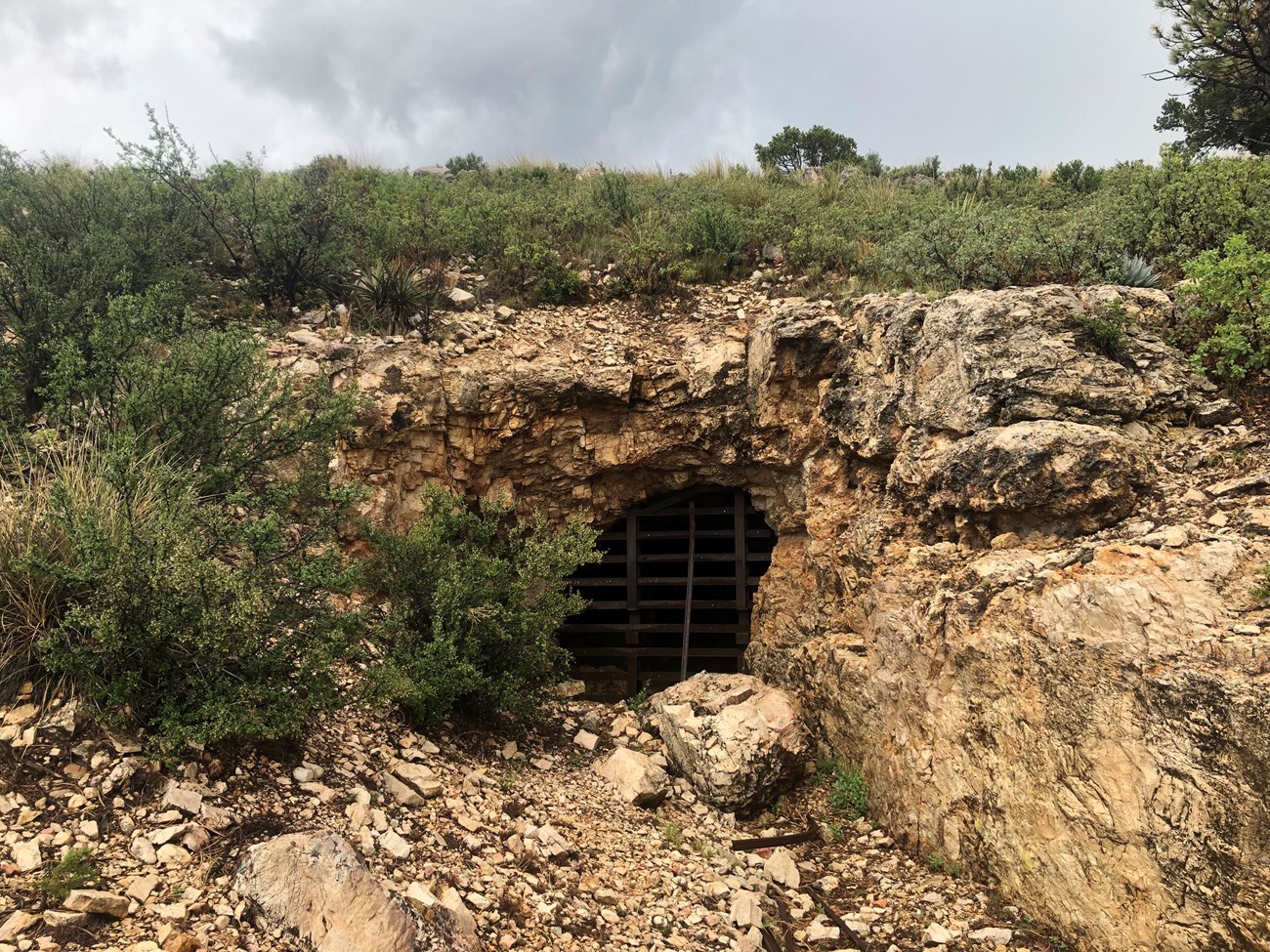 A mine opening in a hillside is closed with a metal gate to allow bats to pass through