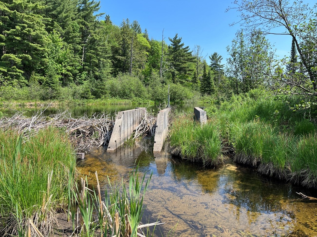 Lowney Creek Three concrete walls of a low-head dam on a clear creek in a forested area