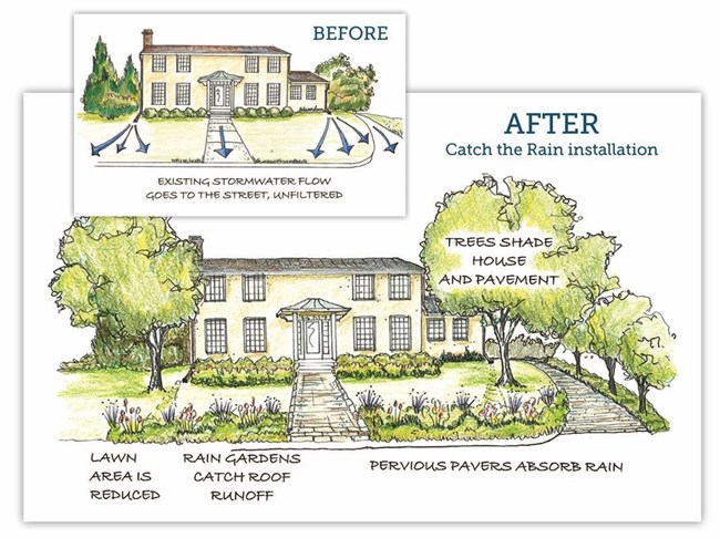 Green stormwater infrastructure can improve water quality by using landscape features to capture and soak up precipitation. Credit: Catch the Rain Program website