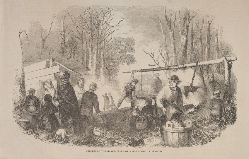 Everyone helps during sugaring season
