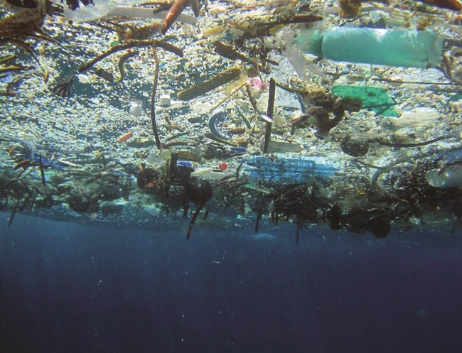 marine debris floating on the ocean's surface