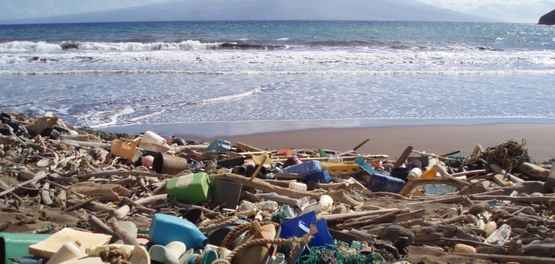 A pile of marine debris on a beach in hawaii