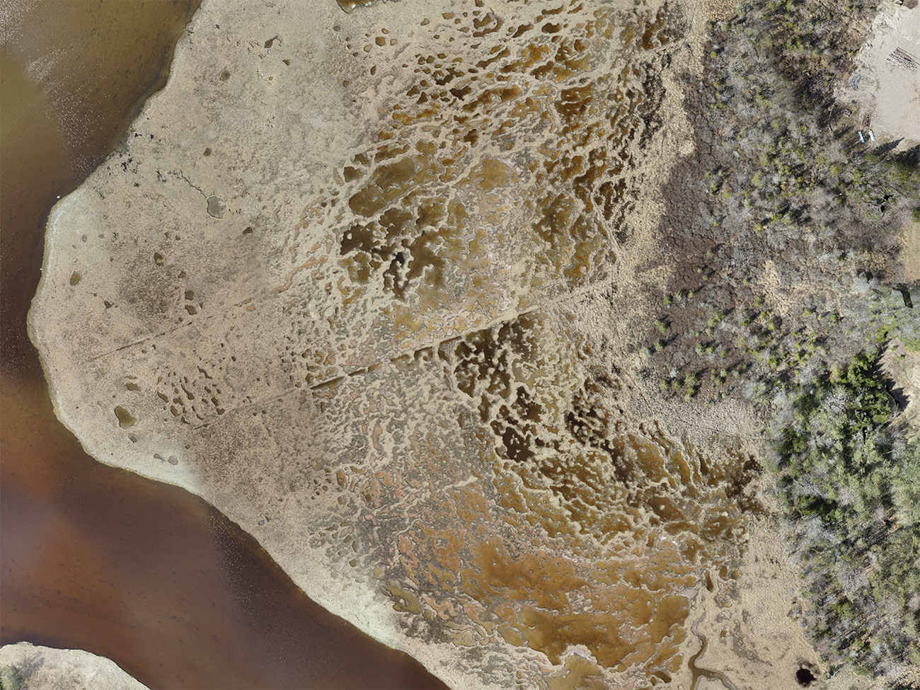 Brown and tan aerial image of a coastal area taken with scientific equipment Brown and tan aerial image of a coastal area taken with scientific equipment