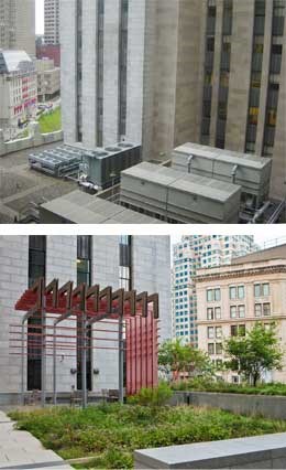 mccormack-roof-before-after green roof before and after rehabilitation