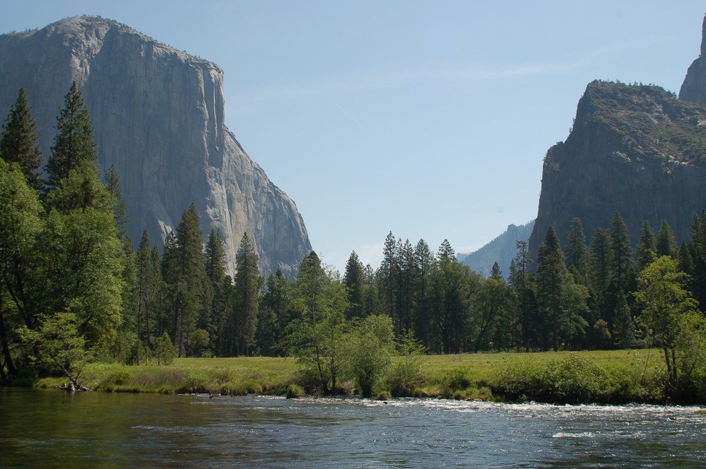 Wild and Scenid Merced River the Merced River runs surrounded by green grass with El Capitan and blue skies in the background